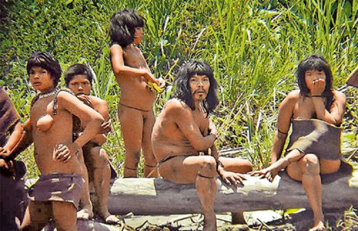 Peru to make contact with isolated tribe for first time