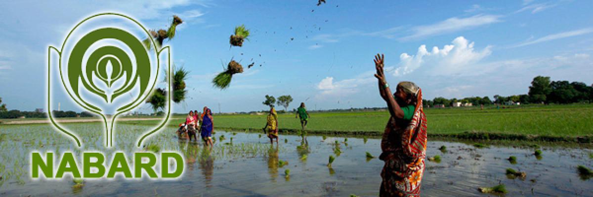 NABARD to grant 3,000 cr loan to TS