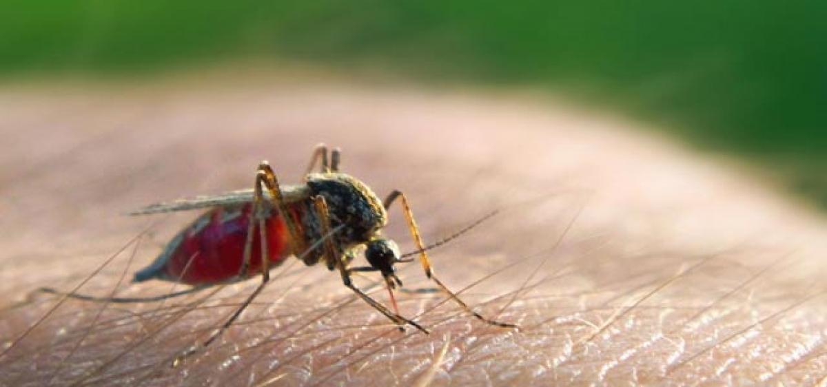 Malaria infection depends on number of parasites, not bites