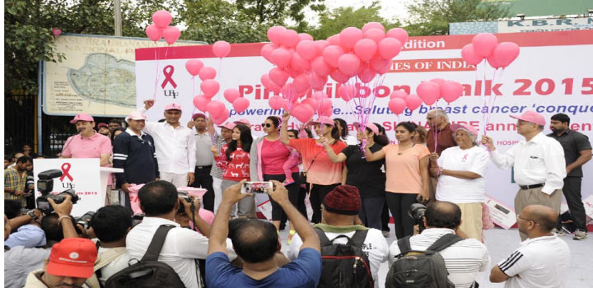 7th Pink Ribbon Walk a huge success