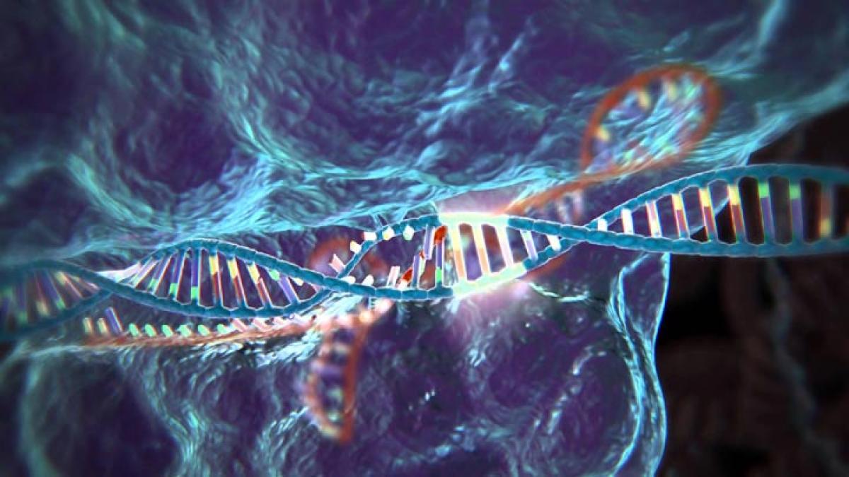 CRISPR gene editing technique