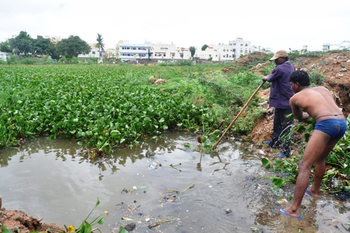 Operation clean-up at Ramanna Kunta Lake