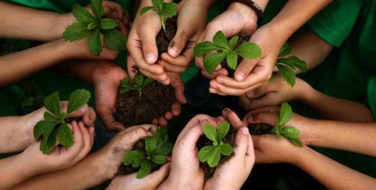 Green Hyderabad: 25 lakh saplings to be planted on July 11