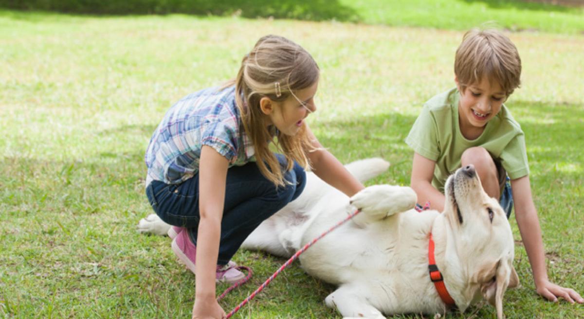 The Health Benefits Of Having A Dog