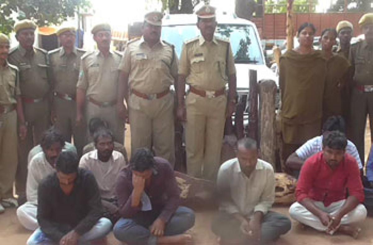 International red sanders smuggler held