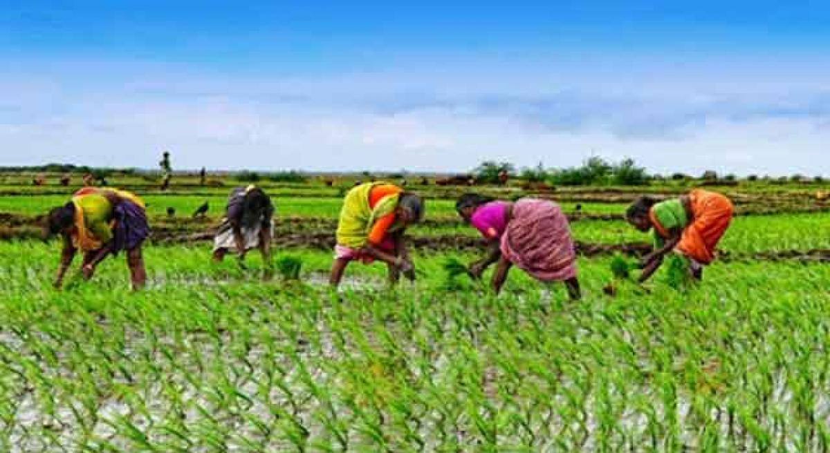 Women farmers face gender inequality