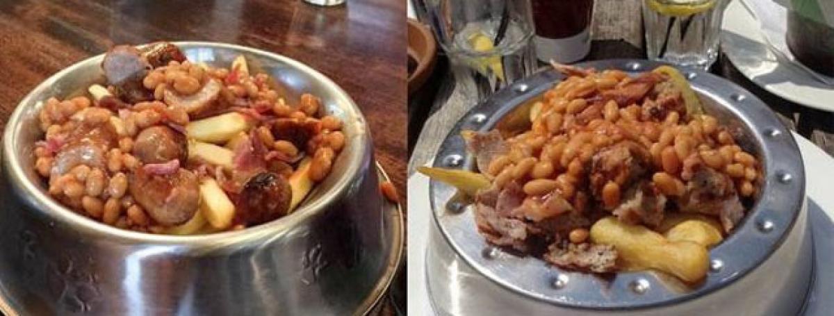 This restaurant is offering food in dog bowl