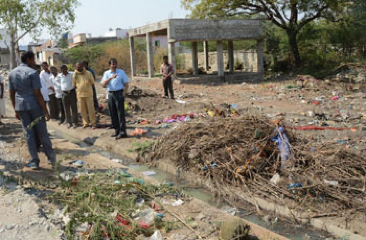 Collector inspects adopted village