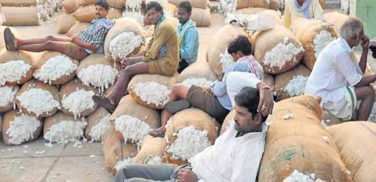 Efforts on to topple e-Auction of cotton