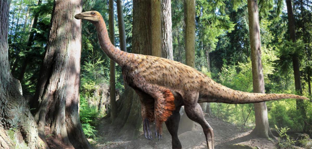 Canada researchers discover fossilised remains of ostrich-like dinosaur