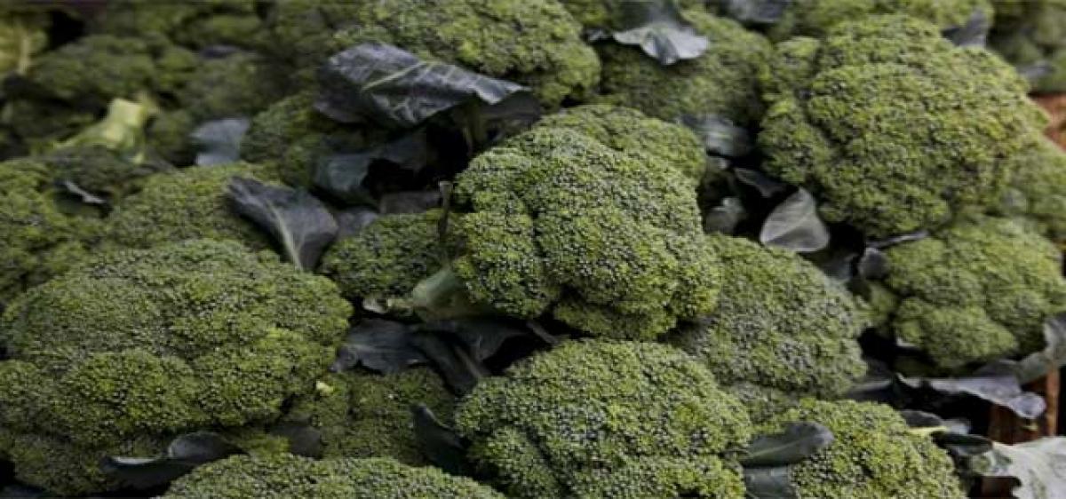 Demand for broccoli spikes in Vizianagaram