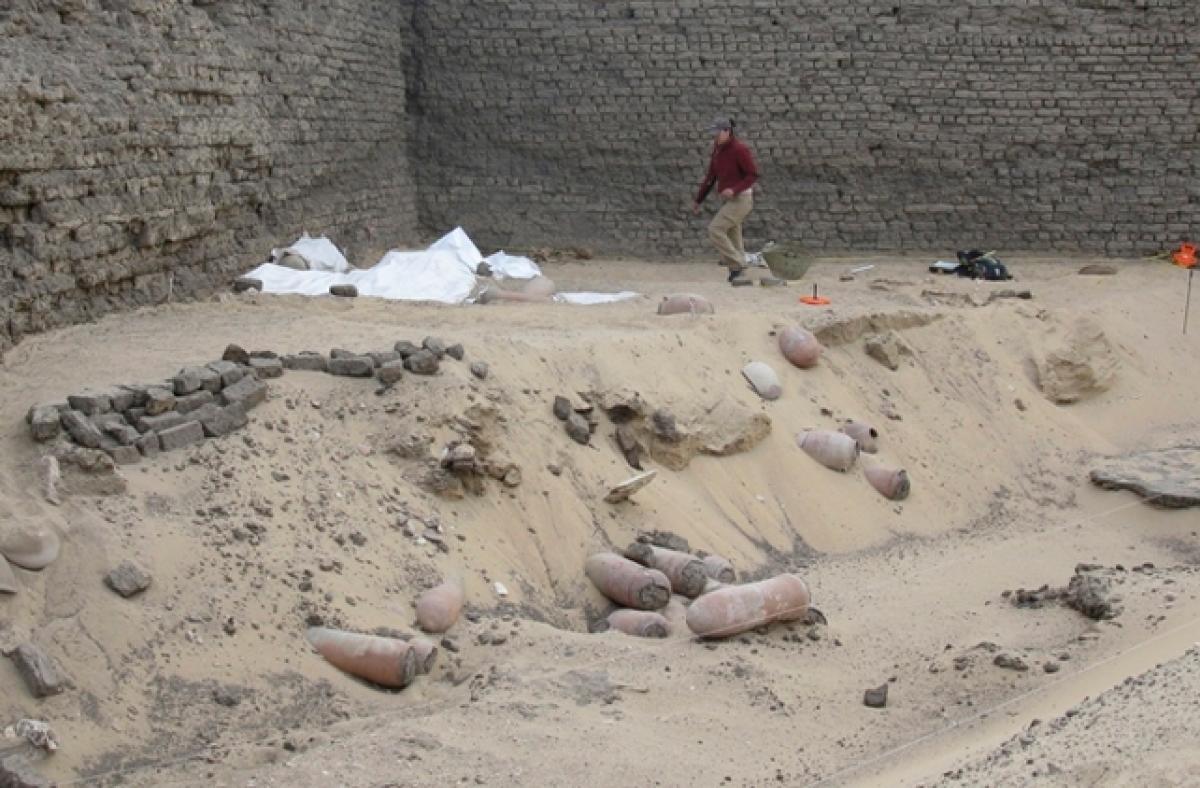 Millions of dog mummies found in mass grave in Egypt