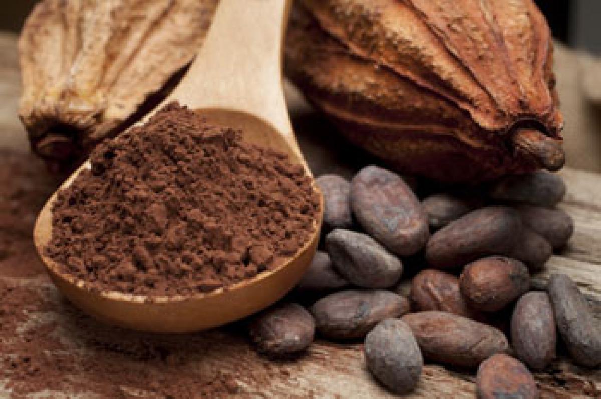 Cocoa, green tea can help combat diabetes