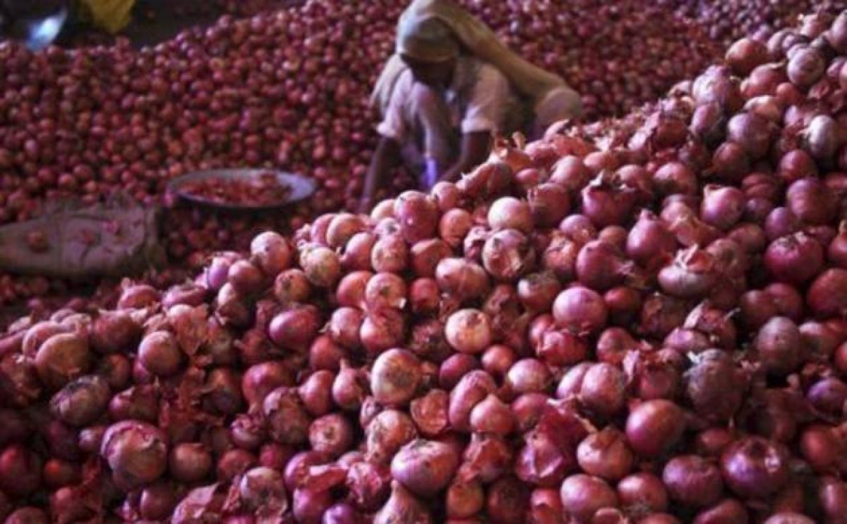 Additional trains to transport bumper harvest of Nashik onions