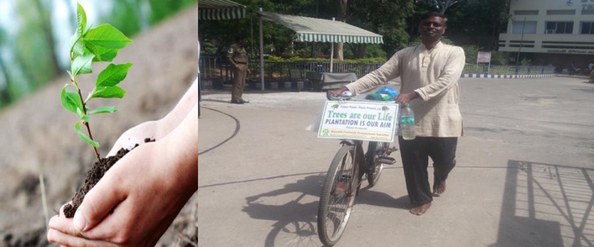 Mission tree plantation on foot