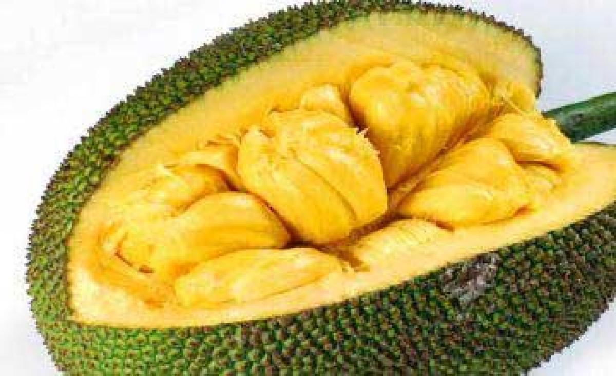 Kerala engineer gives jackfruit its rightful place