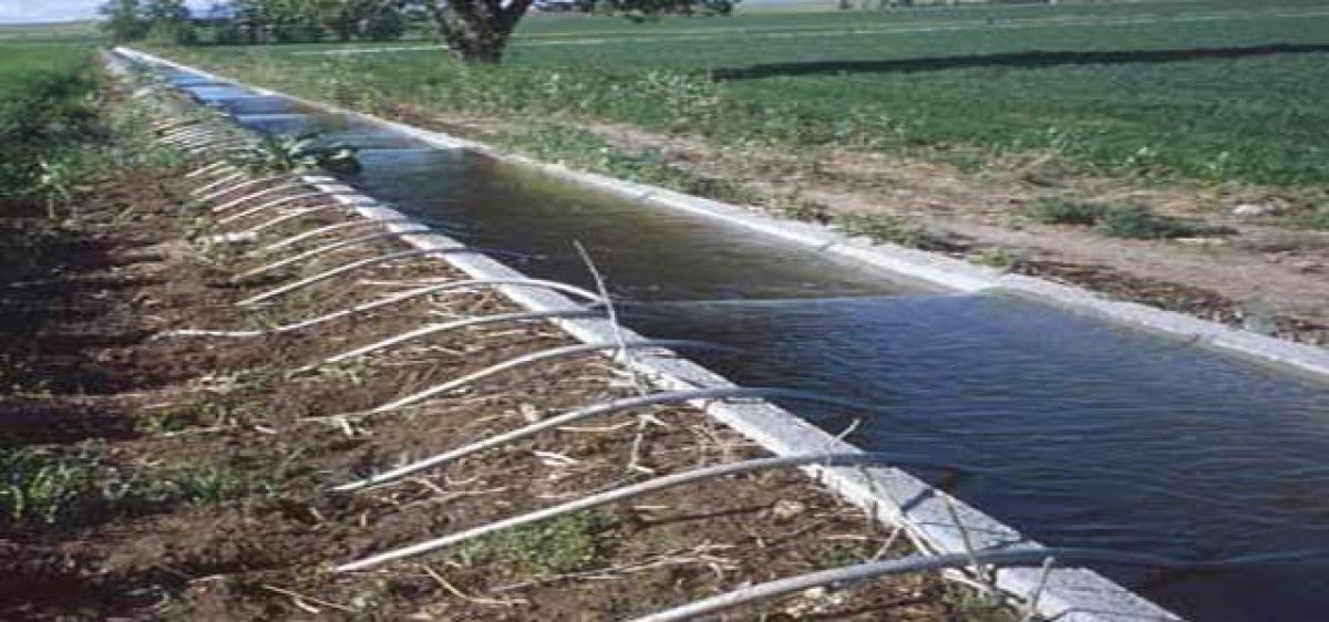 Micro irrigation scheme in for a major boost