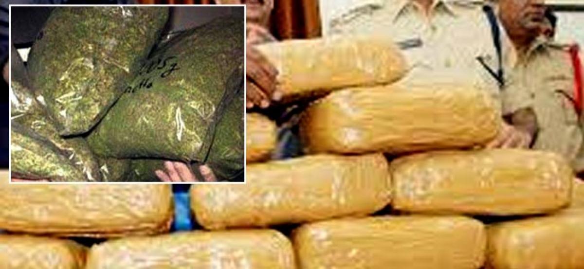 Four drug peddlers arrested, 38 kg ganja seized