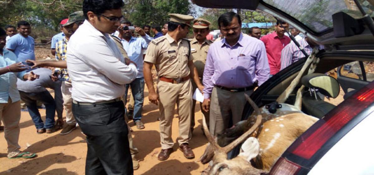 Hyderabad poachers kill two spotted deer