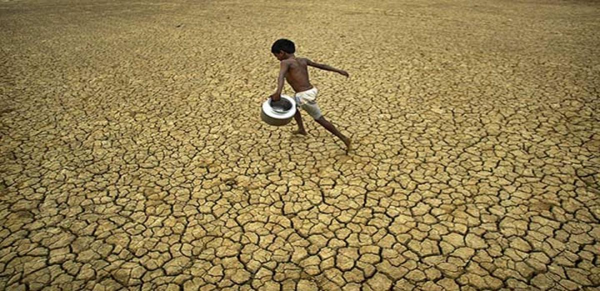 Modi fiddles as drought shrivels crops