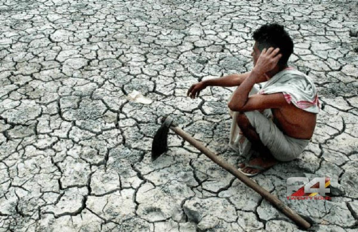 Ease burden of loan repayment on drought-hit farmers: Assocham