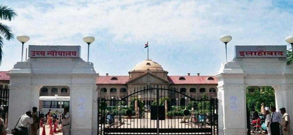 Triple talaq violates Constitution, rights of women: Allahabad High Court