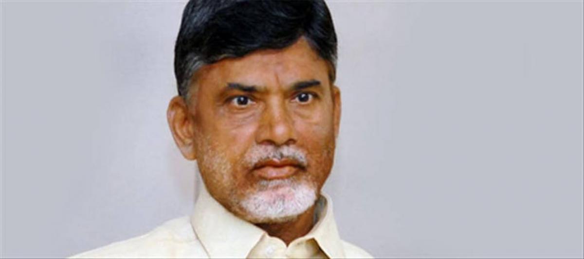 YSRCP Blames Chandrababu, Endowment Minister For Godavari Stampede