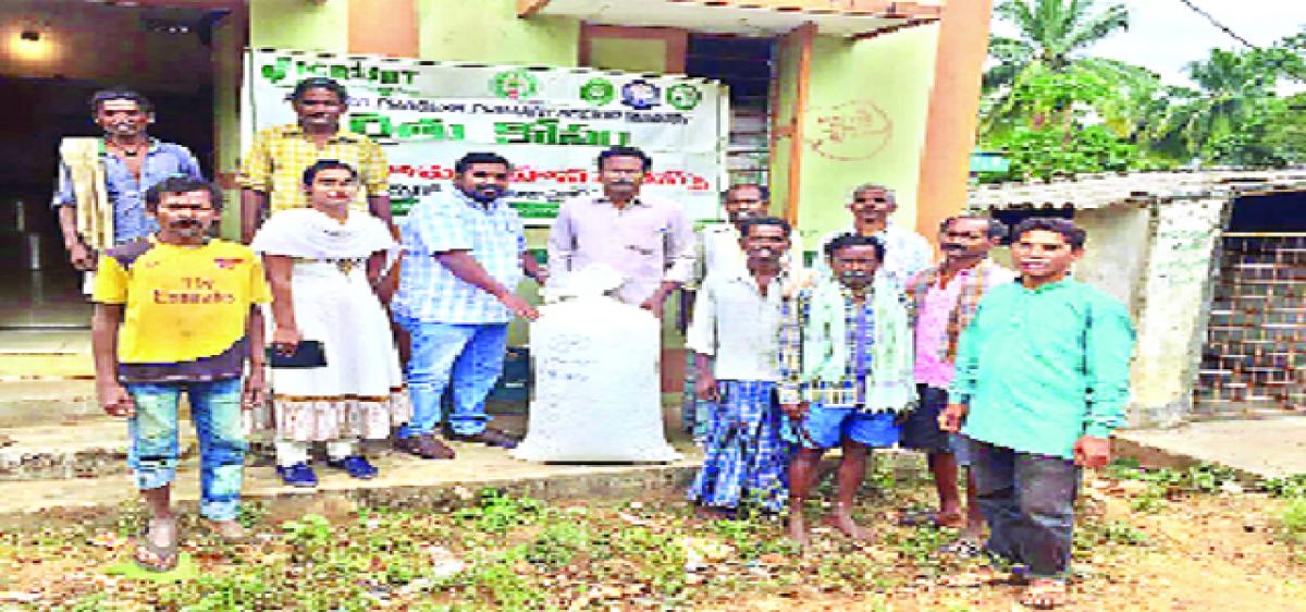 Seed initiative in tribal areas yielding fruitful results