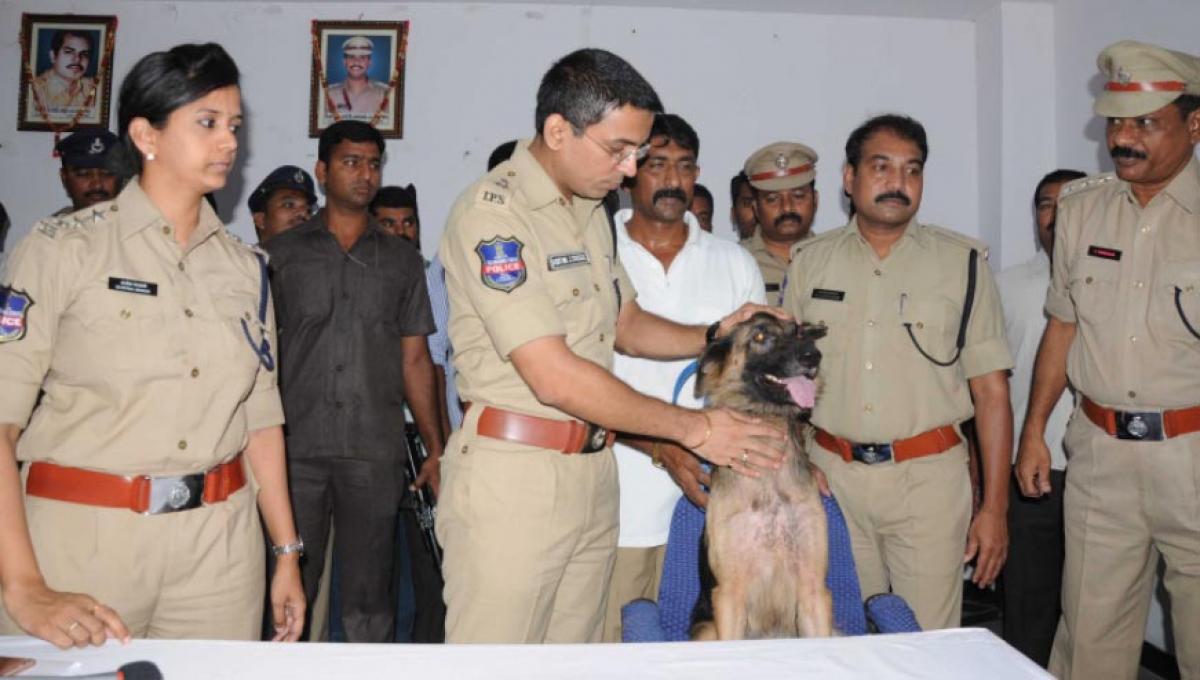 Canine cops vital role in crime detection