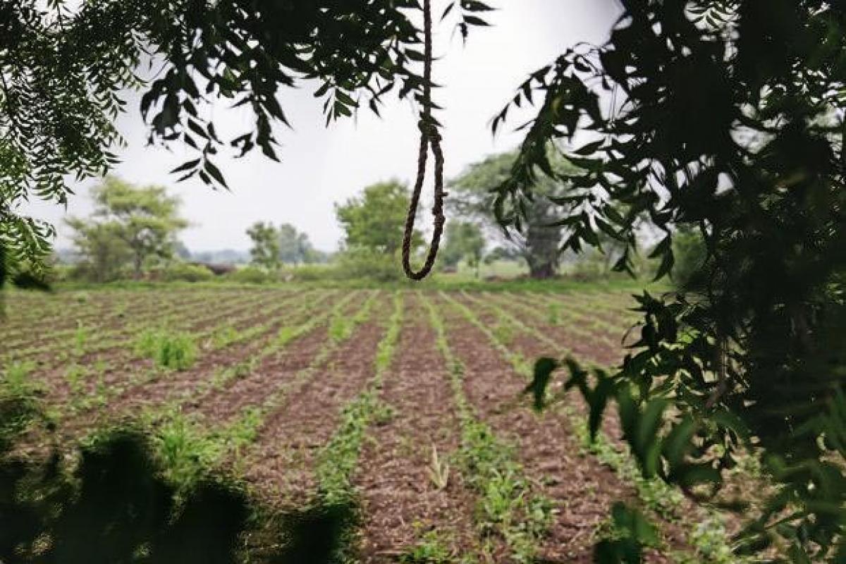 Farmer commits suicide