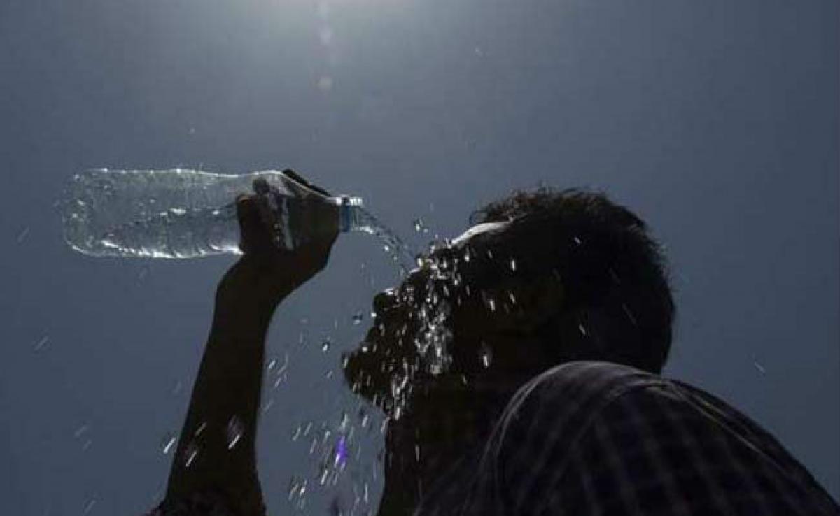 China Rajappa: 723 people died due to heatwave in AP this year