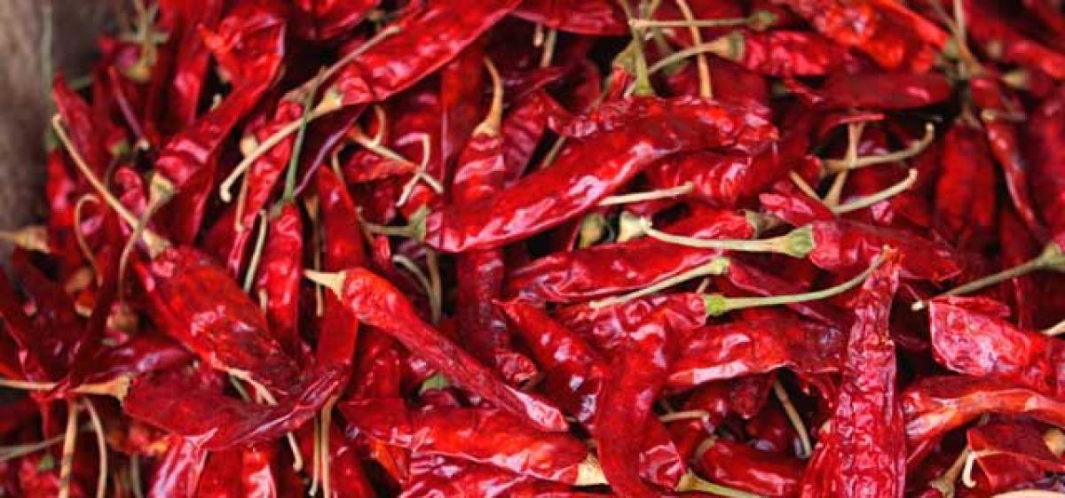 Telangana Rythu Sangam seeks 15k MSP for chillies