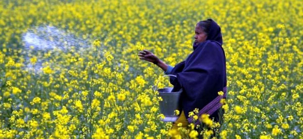 India draws up USD 8.7 billion plan to turn urea exporter