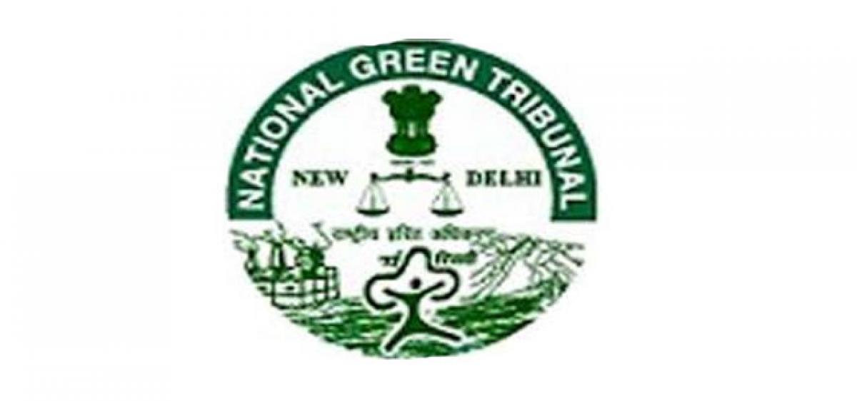 NGT stays PRRLI works in forest area