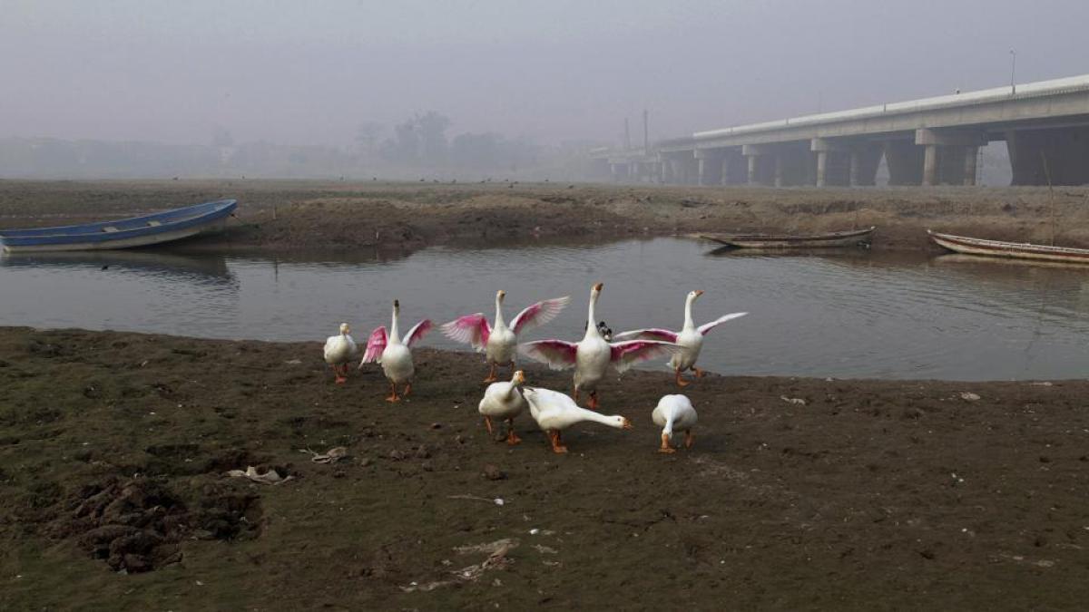 40-year-old Indus Water Treatys survival appears weak: UN report