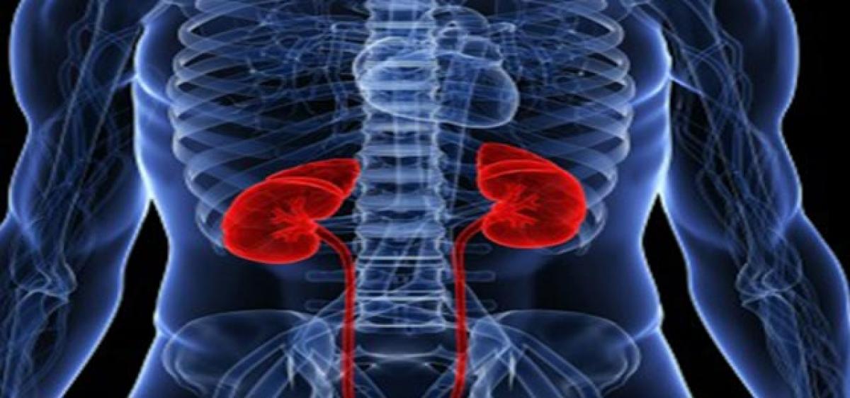 Source of kidney disease biomarker identified