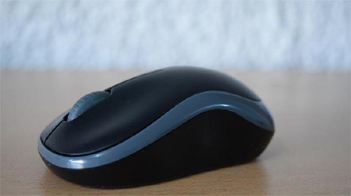 Wireless mice can leave billions at risk of hacking: cyber security firm