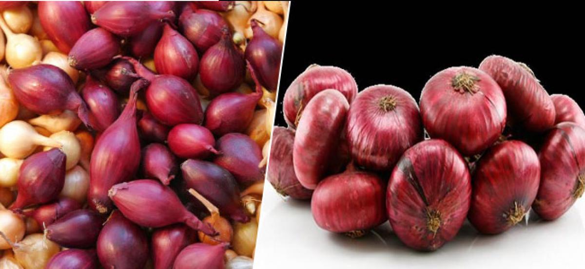 Red onions may help combat cancer: study