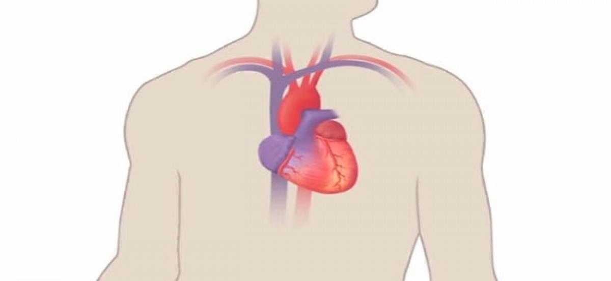 Israeli scientists successfully regenerate damaged hearts