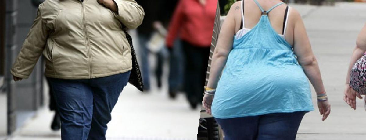 More fat people than malnourished around the world