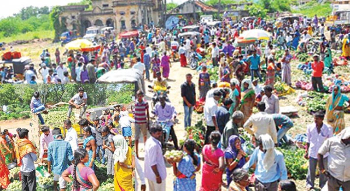 Poor man’s apple makes local vendors poorer