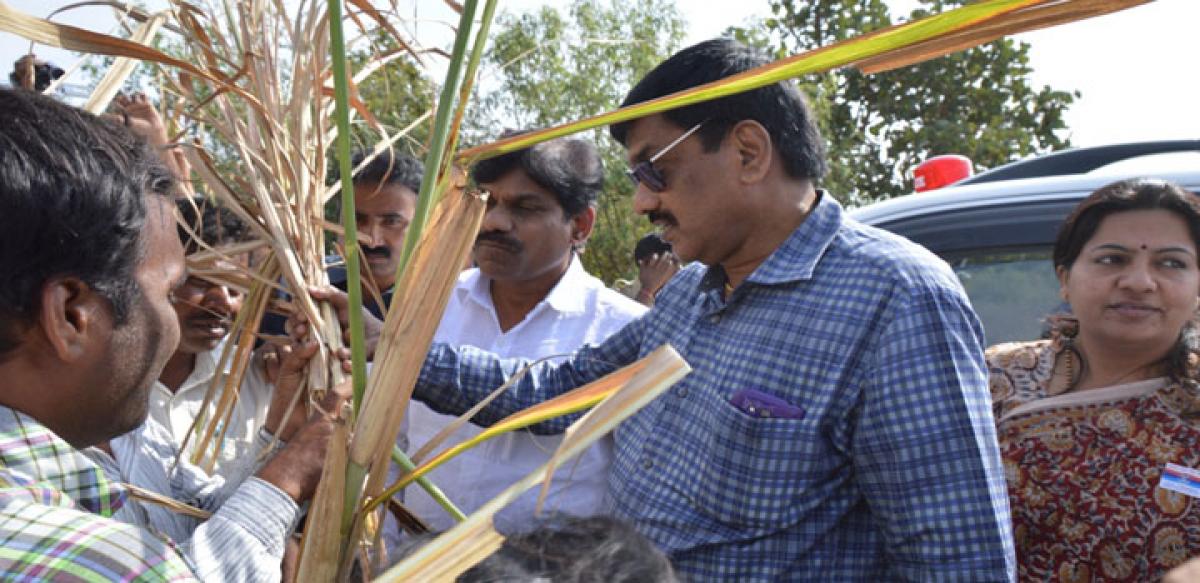 Telangana Govt seeks 2,514 cr from Centre as drought relief