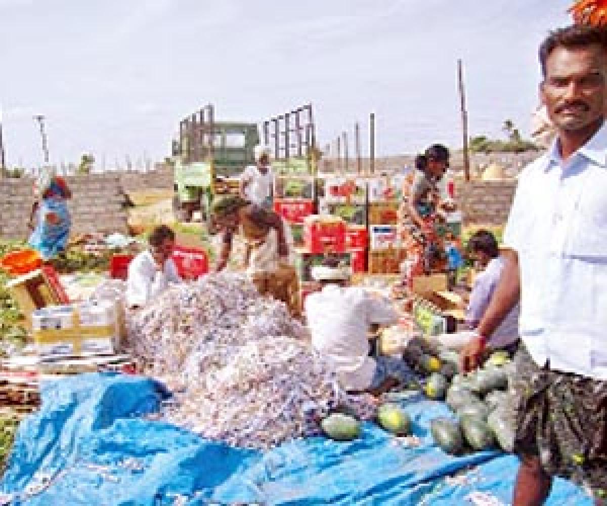 Highway Bazaars planned for horticulture farmers