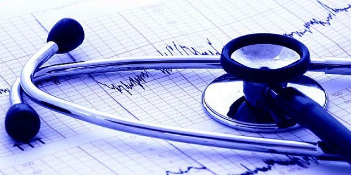 Health sector: No new programmes