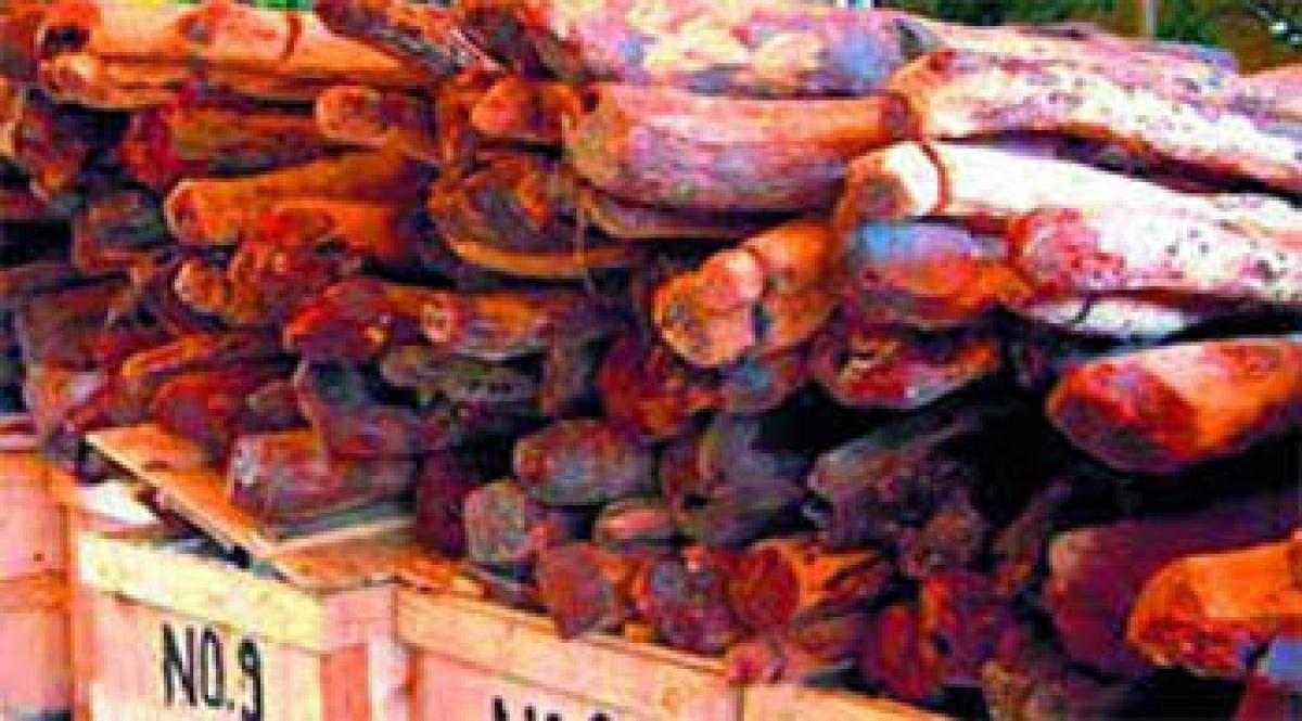 Toll free number to prevent red sanders smuggling