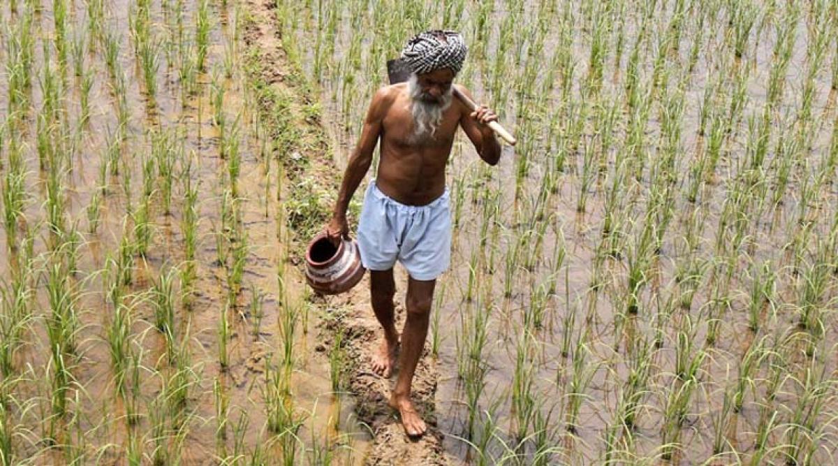 Revisit Swaminathan Commission Recommendations for Rejuvenation of Agriculture in the State