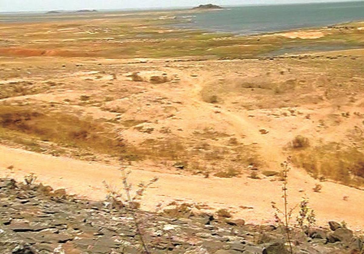 Water level in Sri Ram Sagar Project hits dead storage