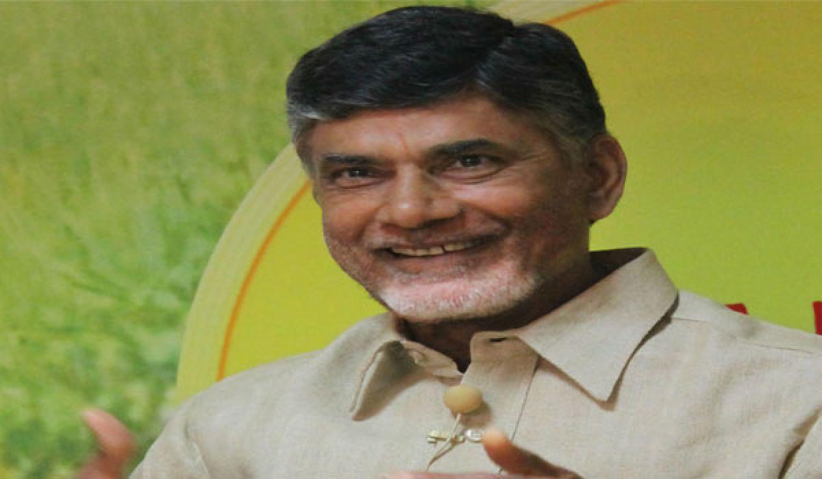 TDP appoints in-charge ministers to strengthen party