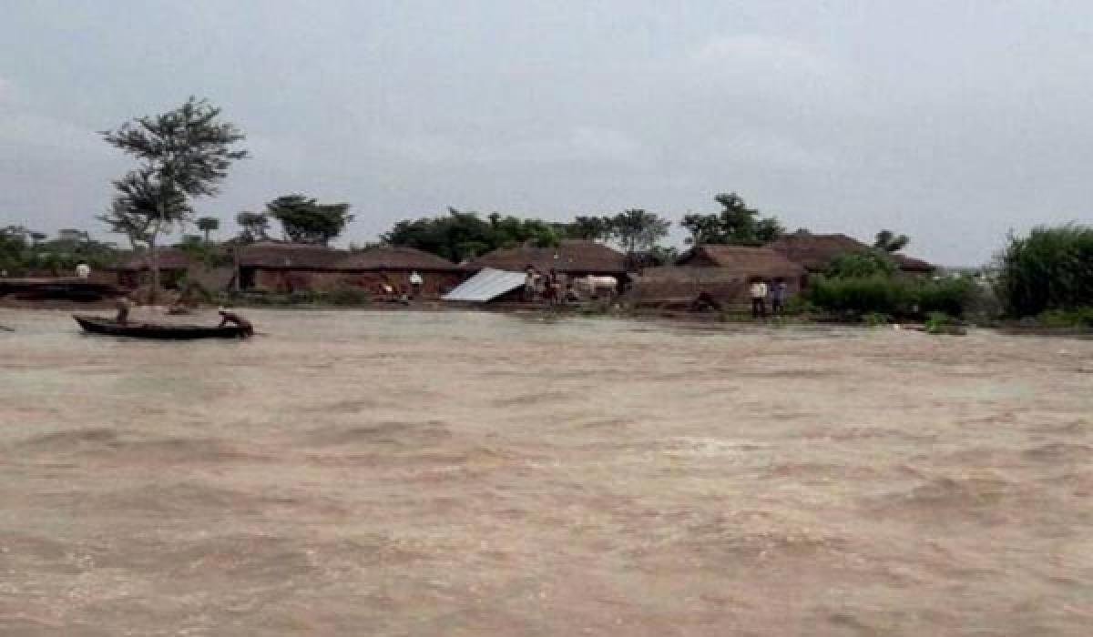 Bihar floods force people along Kosi to eat rats