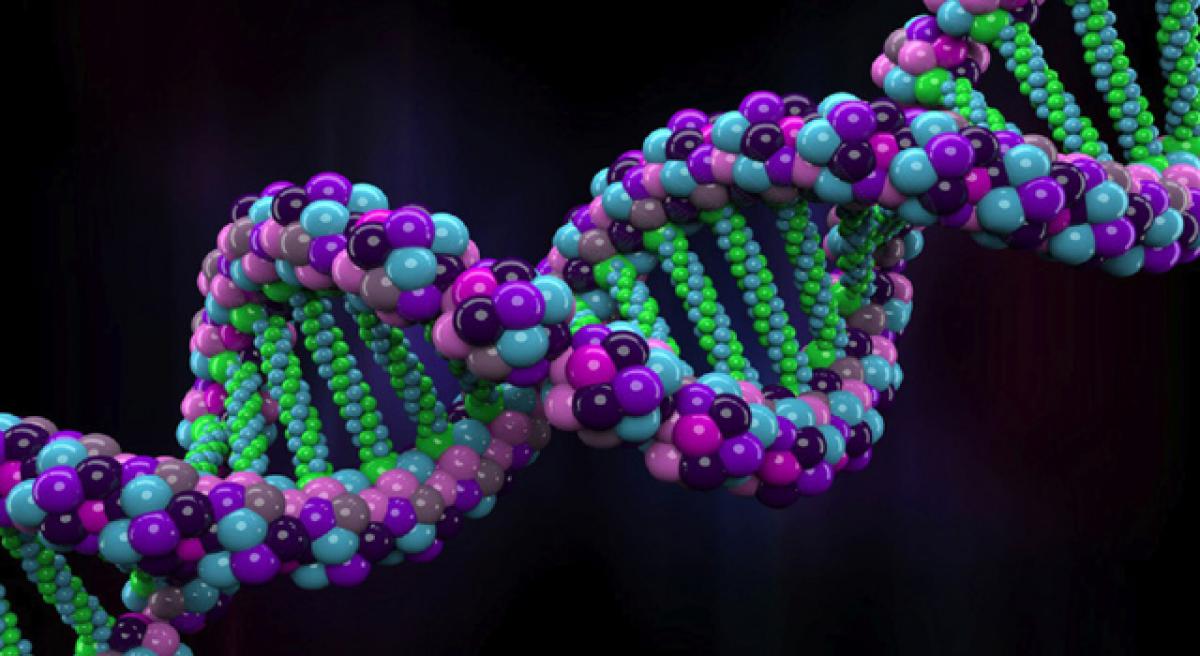 Altered DNA linked to new brain disorder identified